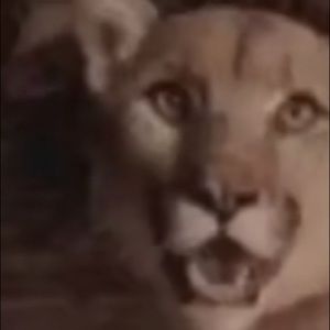 Meet your Posher, Luke